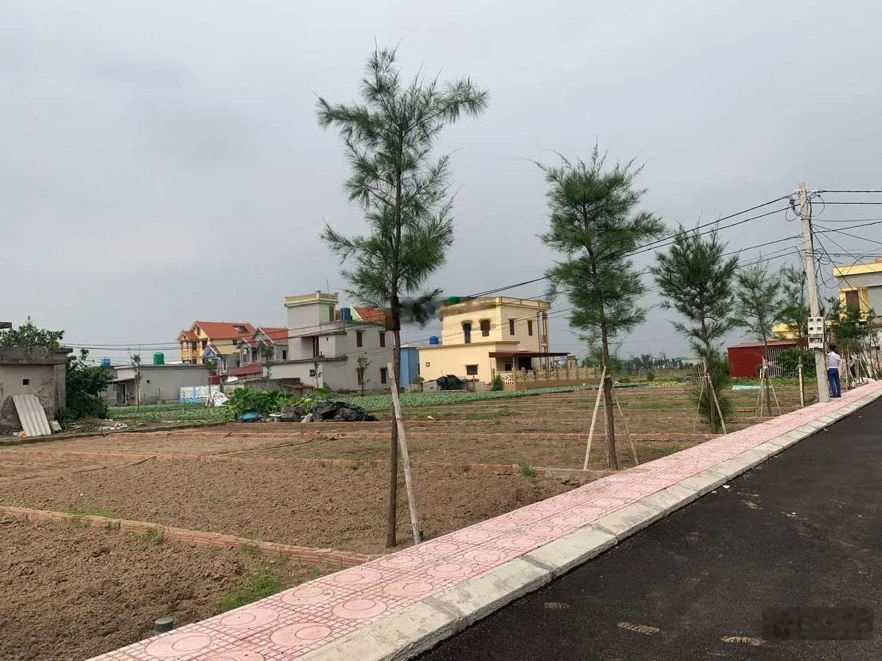 Chính chủ cần bán gấp 2 lô đất view biển Quất Lâm, Nam Định