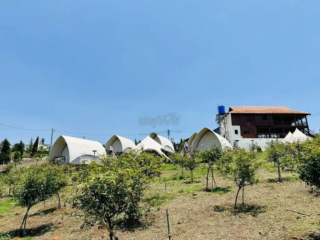 khu du lịch nghỉ dưỡng Olala Glamping 350 Triệu View hồ Cánh Bướm