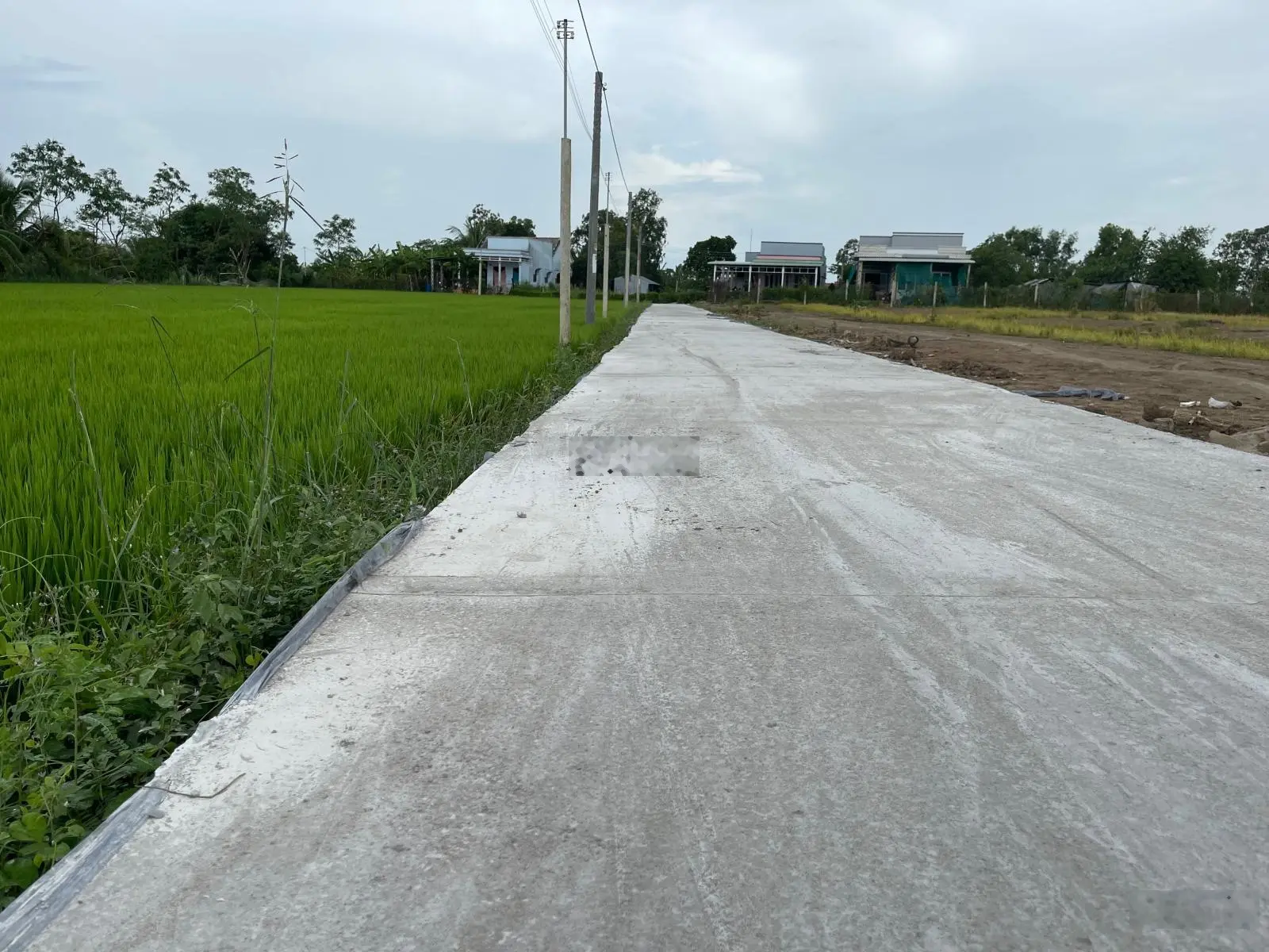 Số Hồng Riêng tại ấp 6 xã BÌNH XUÂN TP GÒ CÔNG _ TIỀN GIANG5x 40 (200m2 (có sẵn 50 m2 thổ cư)