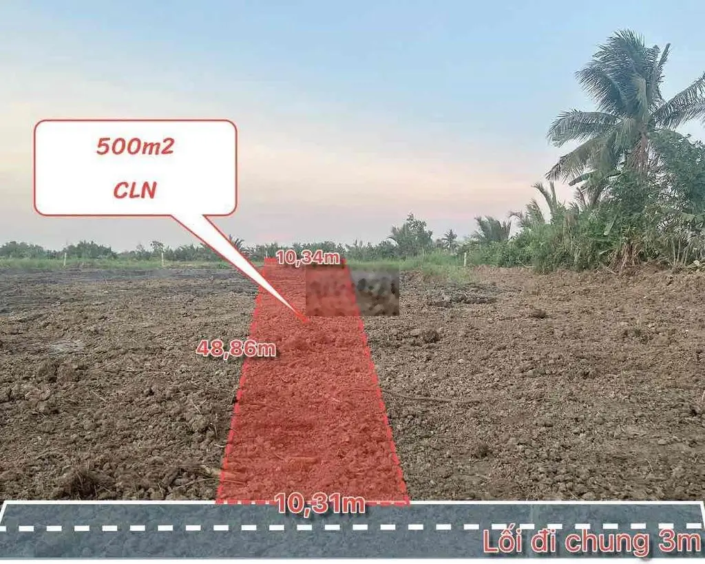 500m2 đất vườn . Tân Bình - Tân Trụ - Long An