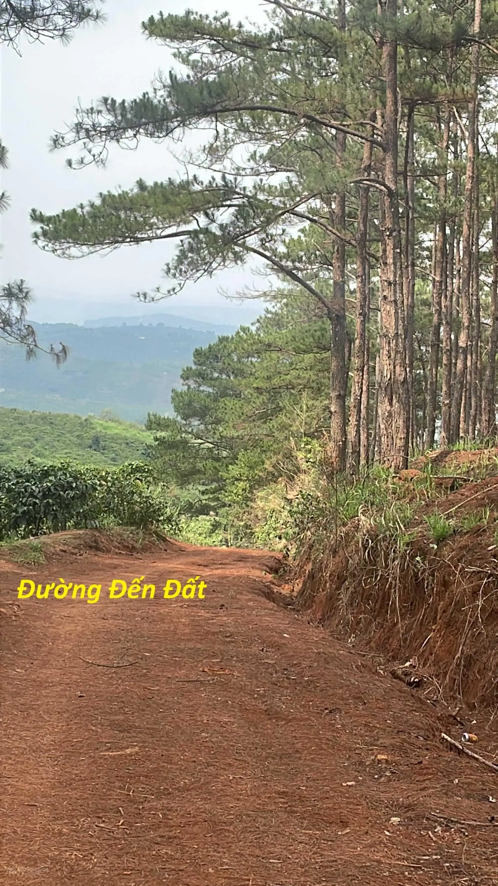 Chính chủ bán lô đất nghỉ dưỡng, view đẹp, gần Đà Lạt, giá tốt