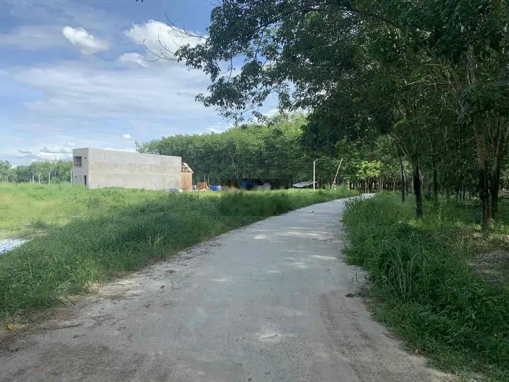 1000m2 đất sát bên khu đô thị phúc Hưng giá rẻ cho nhà đầu tư