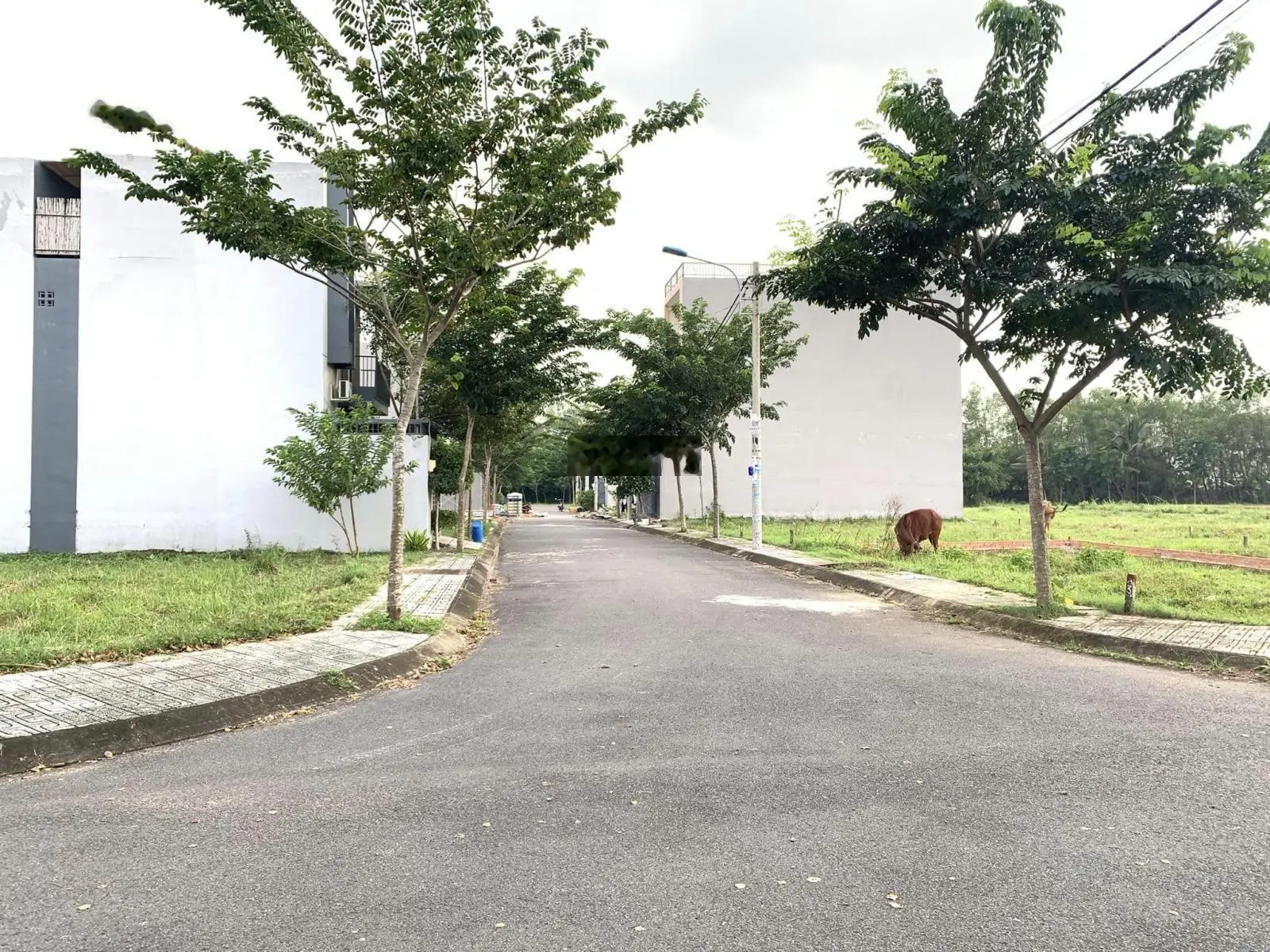 A11 khu dân cư vạn phát hưng 3,77 tỷ/81m2