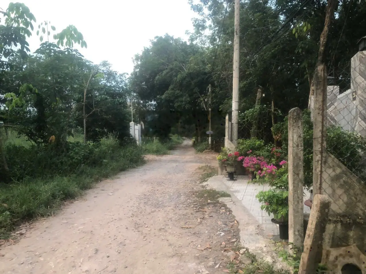Lô đất 5.7x53m, Phạm Văn Xuyên, P3, ra chợ P3, CMT8