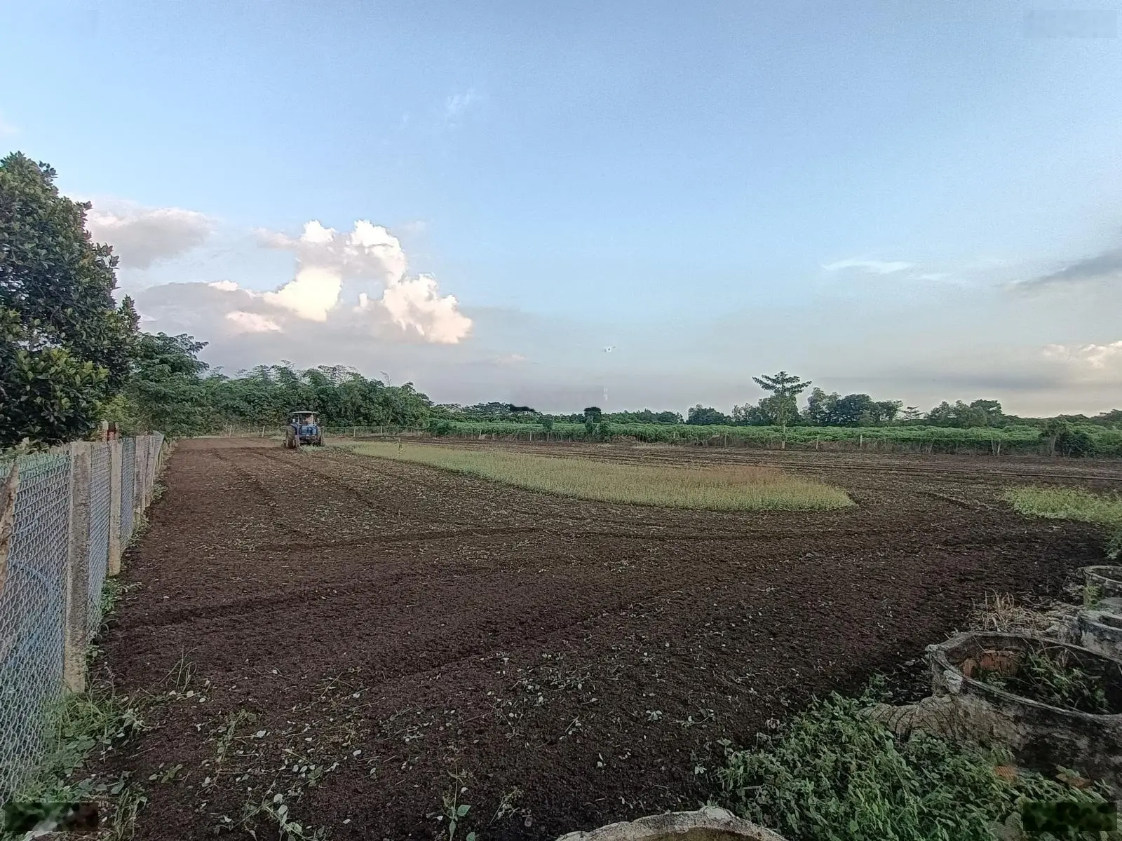 Bán trang trại đẹp tại xã xuân tây, giá siêu hời 1,15 tỷ vnd, diện tích 5000 m2