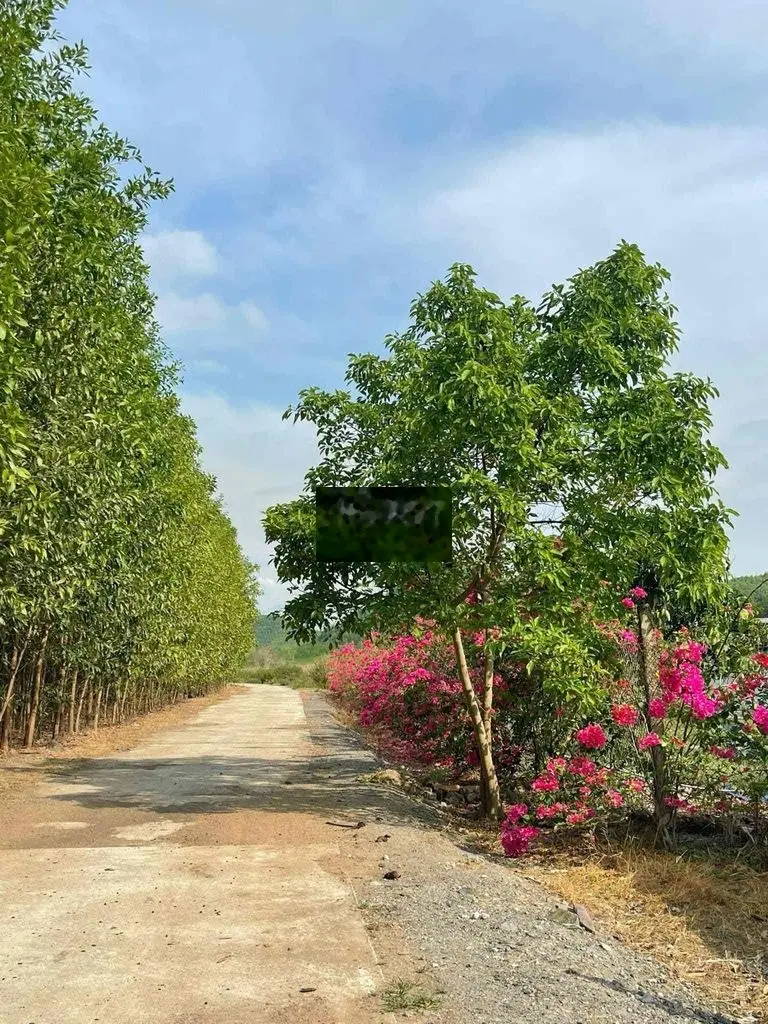 500m2 đất sổ đỏ KDL Hồ Láng Nhớt - Nha Trang