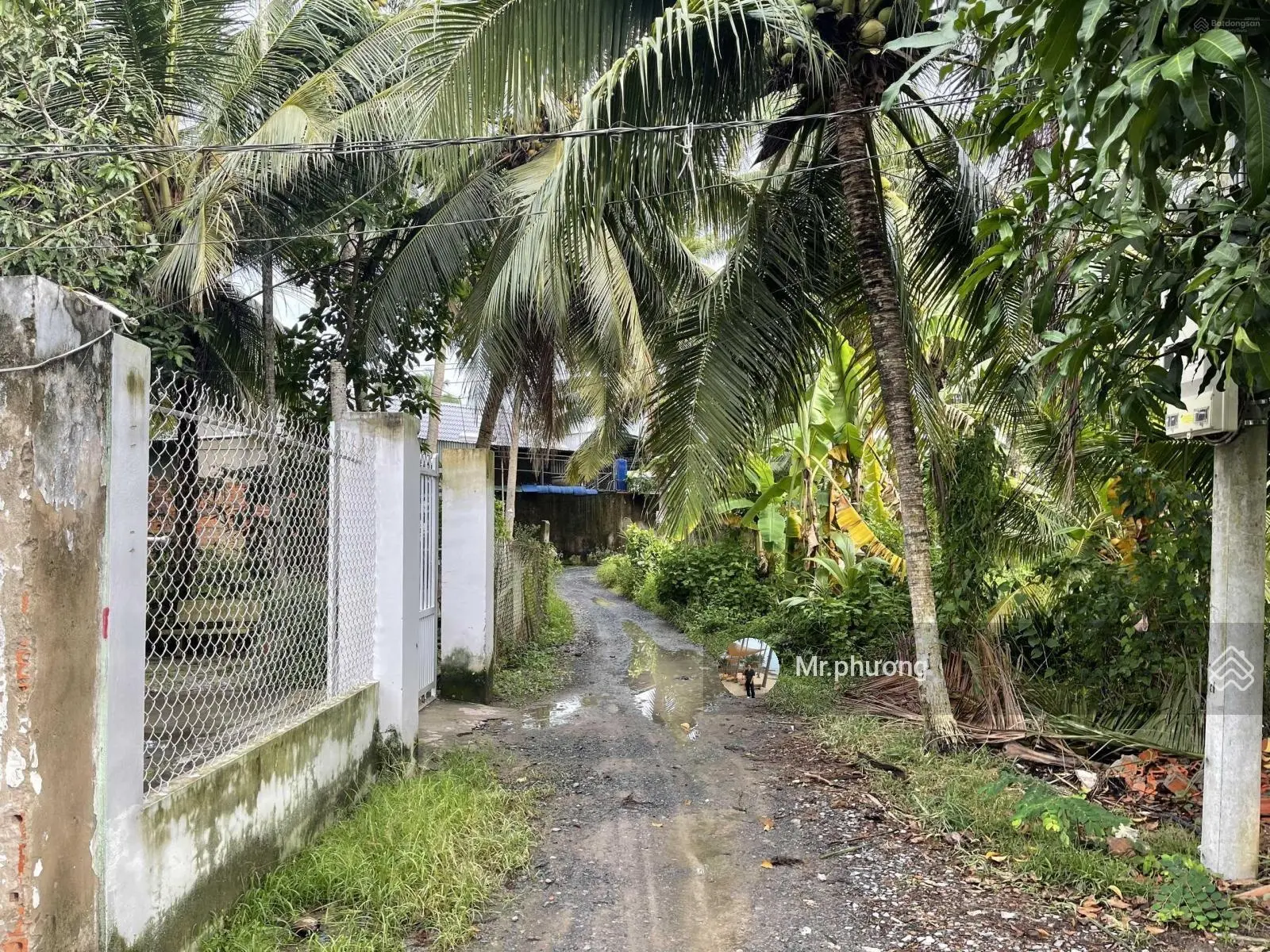 Bán gấp lô đất thổ cư gần Bệnh viện Đa Khoa bến tre, 712m2, sổ hồng riêng chính chủ