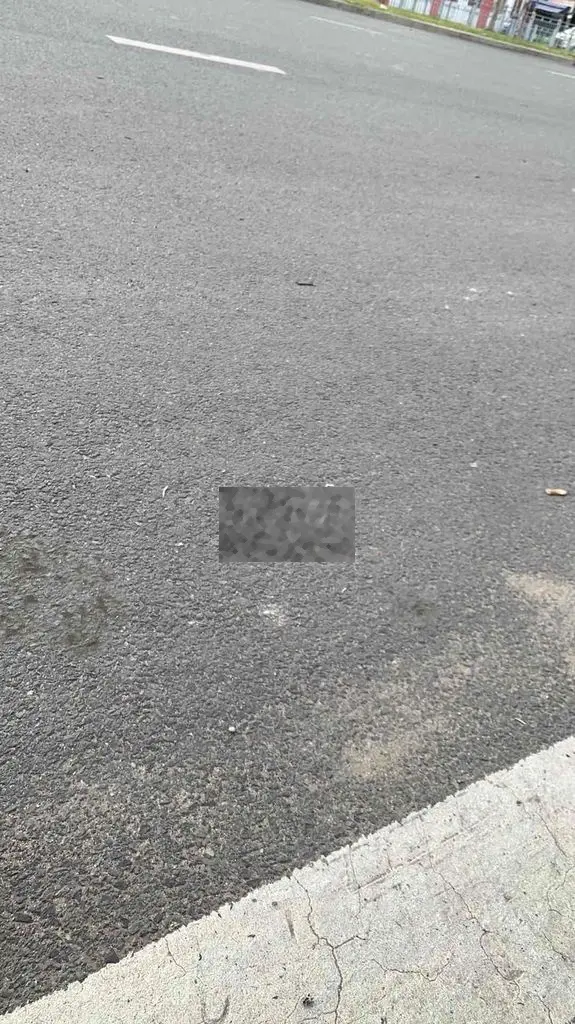 nhà lê trọng tấn 4.2x18m 1 lầu đường xe hơi 5.5ty