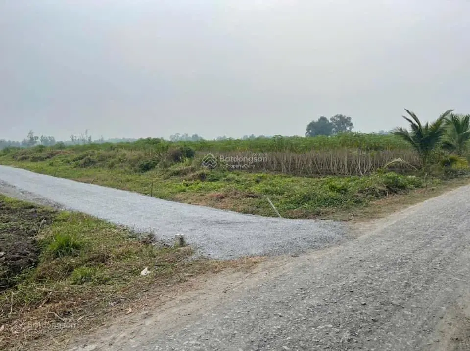 Cần bán lô đất vườn đường 5 Liệt, Thạnh Hoà, Bến Lức Long An, đường xe tải, sẵn điện nước. Gần nhựa