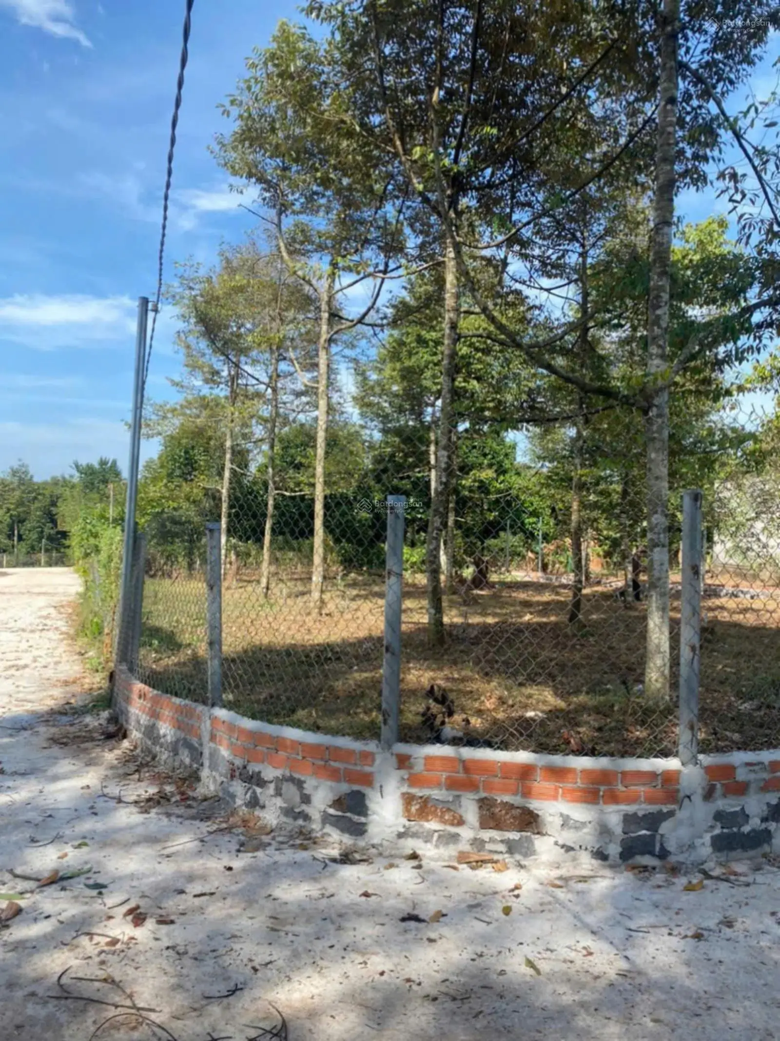Bán 500m2 đất vườn sầu riêng 5 năm, đang thu hoạch. Giá 1.35 tỷ. Xuân Lập Tp Long Khánh