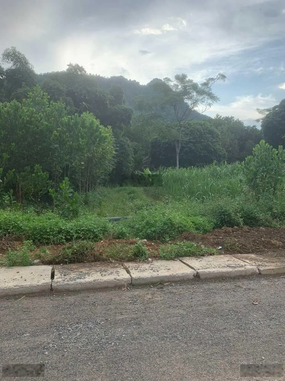 Bán 6000 m2 (400 thổ cư) bám suối, bám mặt đường nhựa có vỉa hè giá nhỉnh 2 tỷ tại Đà Bắc, Hòa Bình