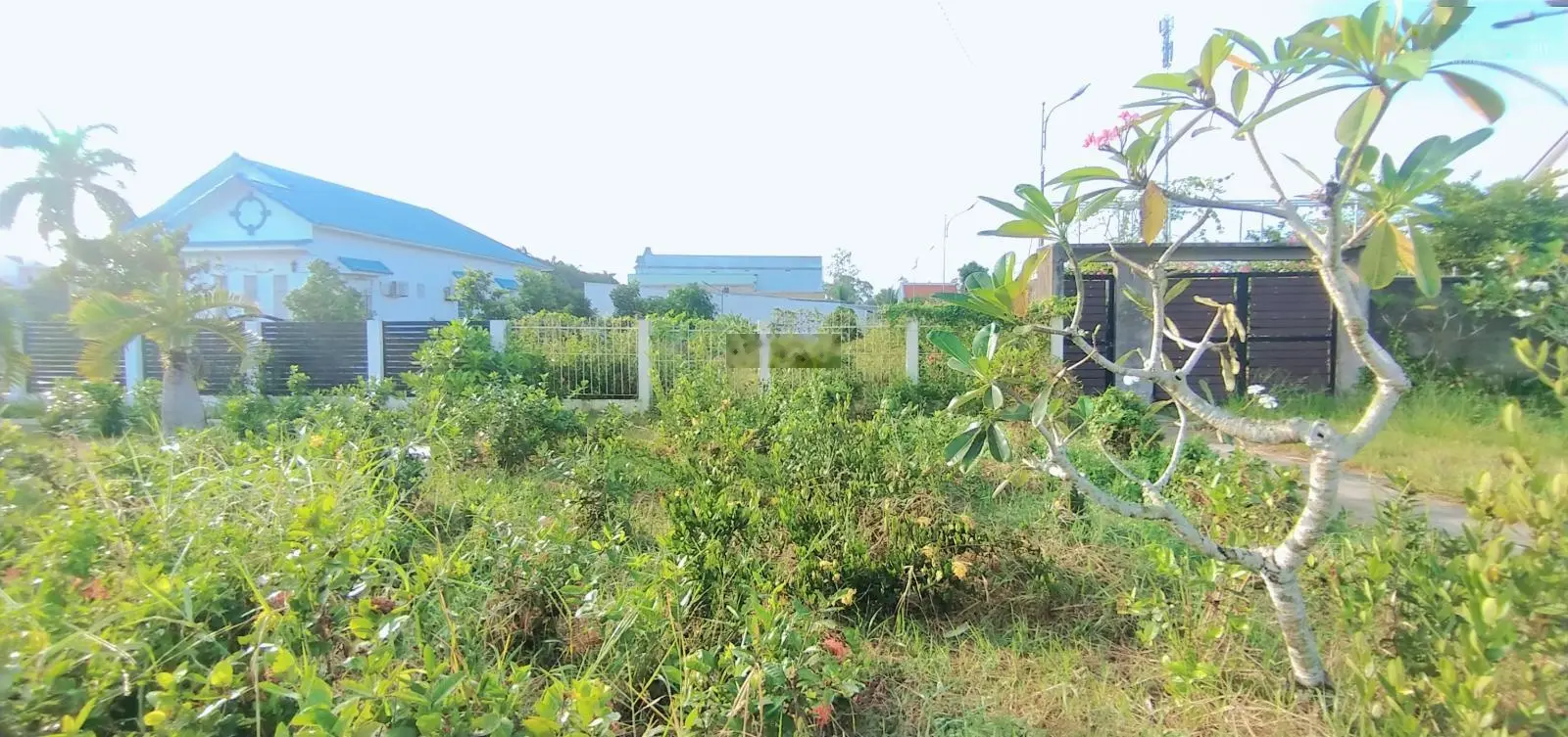 Bán đất mặt tiền QL63 10x44m, gần trạm đăng kiểm P. Tân Xuyên, TP Cà Mau