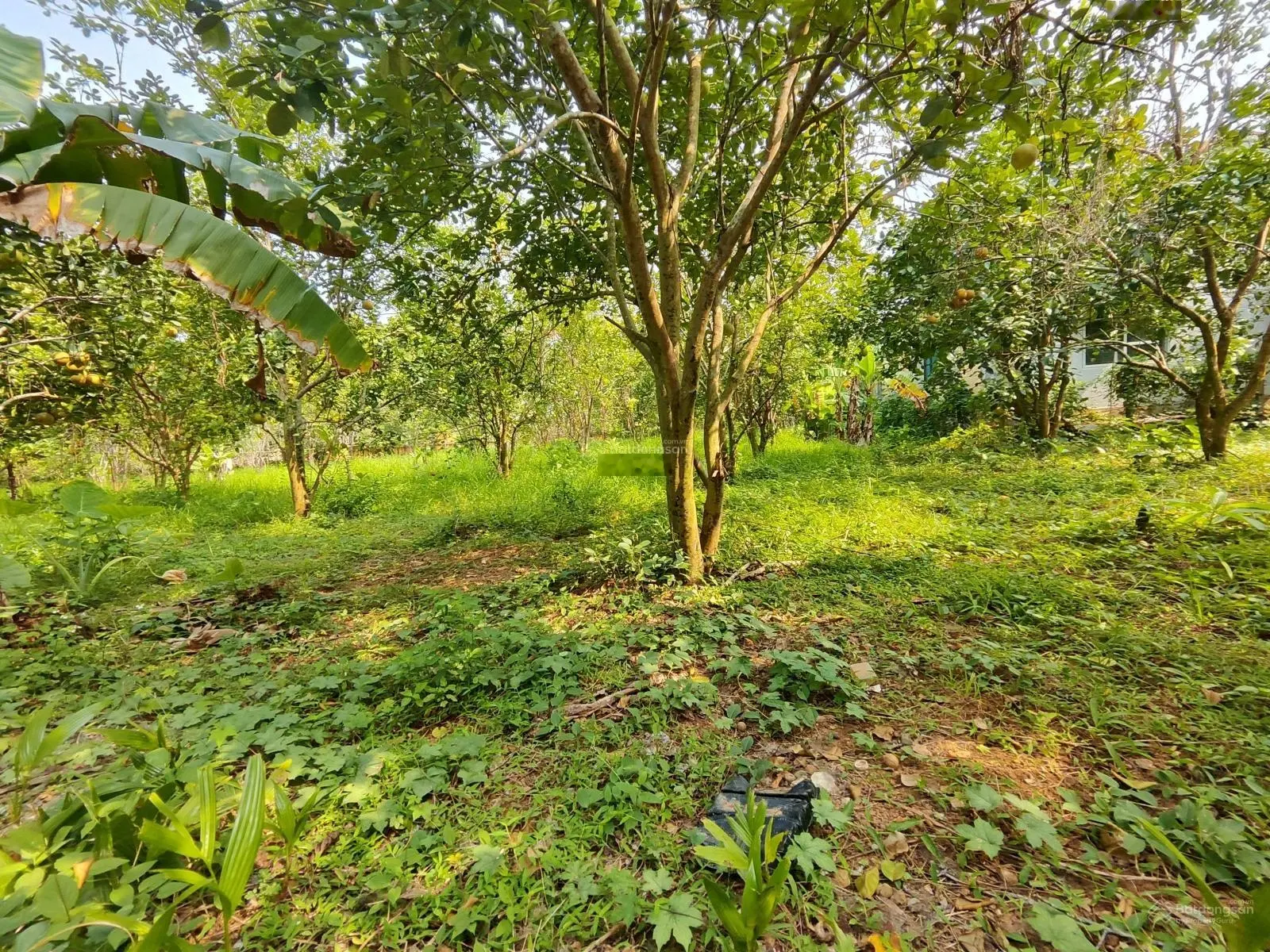 Chỉ hơn 1 trieu/m đất tại Yên Mông, TP Hoà Bình 3938m2 cách đường TL 317C chỉ 100m, đường rộng 6m