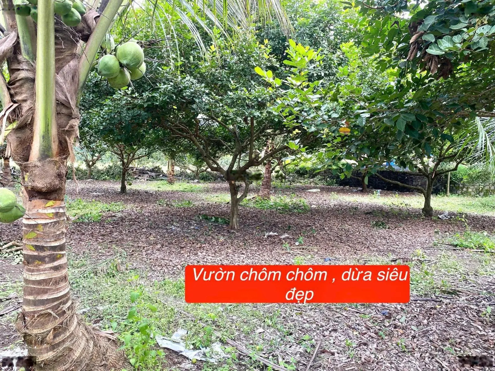 Bán đất giá 275 triệu VND tại Thị trấn Đạ Tẻh, Lâm Đồng, diện tích 180m2
