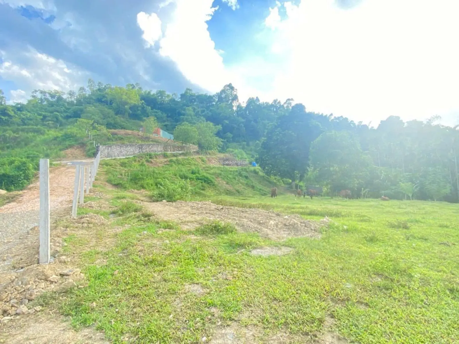Chính chủ gửi em bán lô đất view cực đẹp, phù hợp làm homestay, ngay đường lên đồi bù núi bé