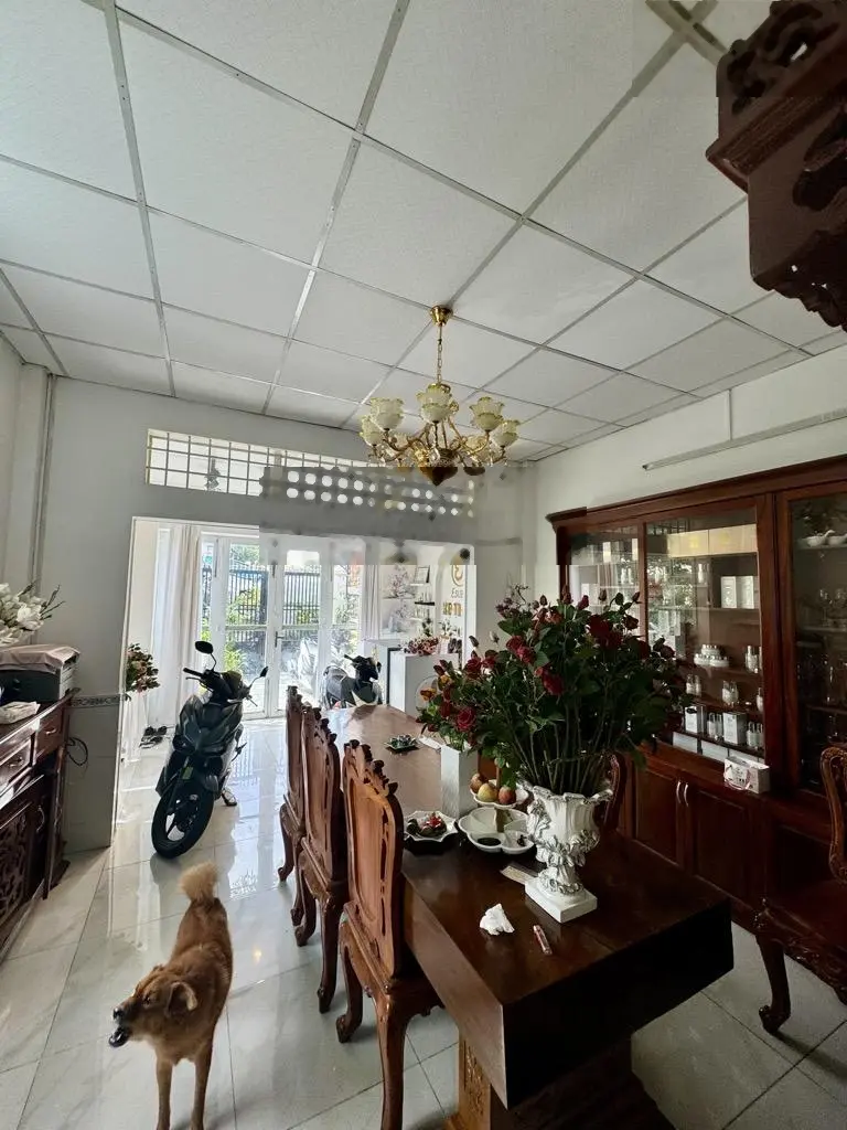 Bán gấp nhà cấp 4 sân vườn, đường Song Hành, Hóc Môn, Diện tích 191m2, Giá 4,850 tỷ