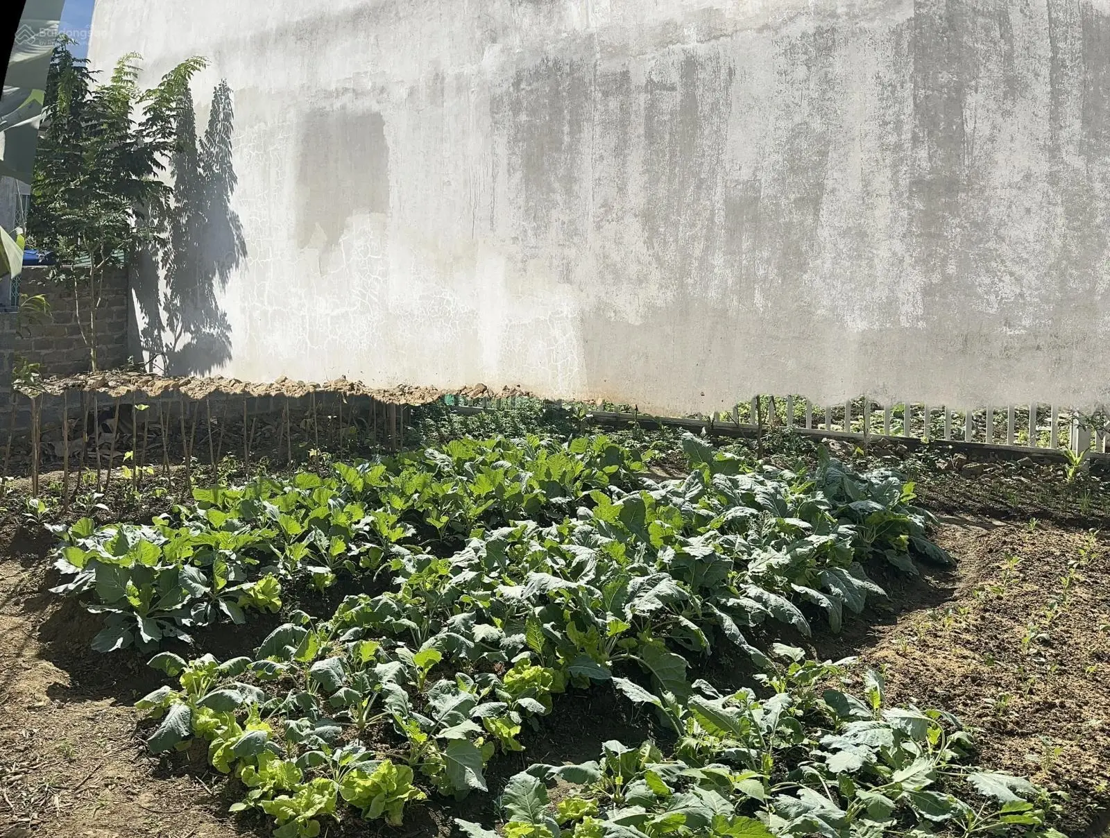 Cơ hội sở hữu đất nền tái định cư xây dựng tự do giá chỉ 15 triệu VND tại Lào Cai