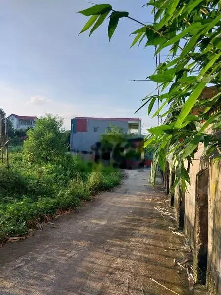 BÁN CẮT LỖ đất ôtô7 chỗ thông tại Kiêu Kỵ, Gia Lâm. Giá nhỉnh 3 tỷ/58m