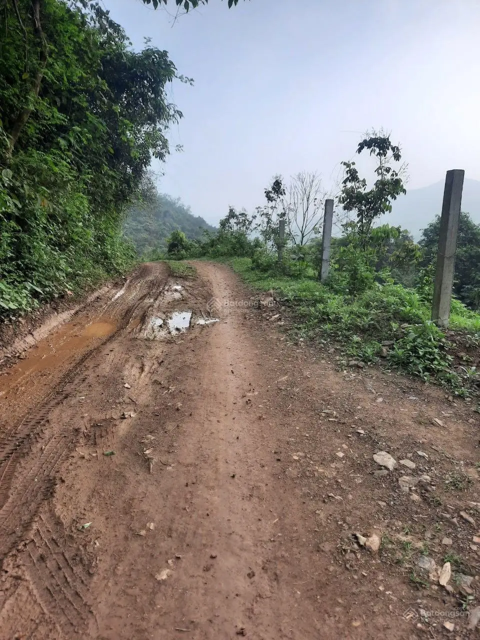 Chuyển nhượng lô đất 22000m tại Lương Sơn, Hoà Bình, LH: 0989 342 ***
