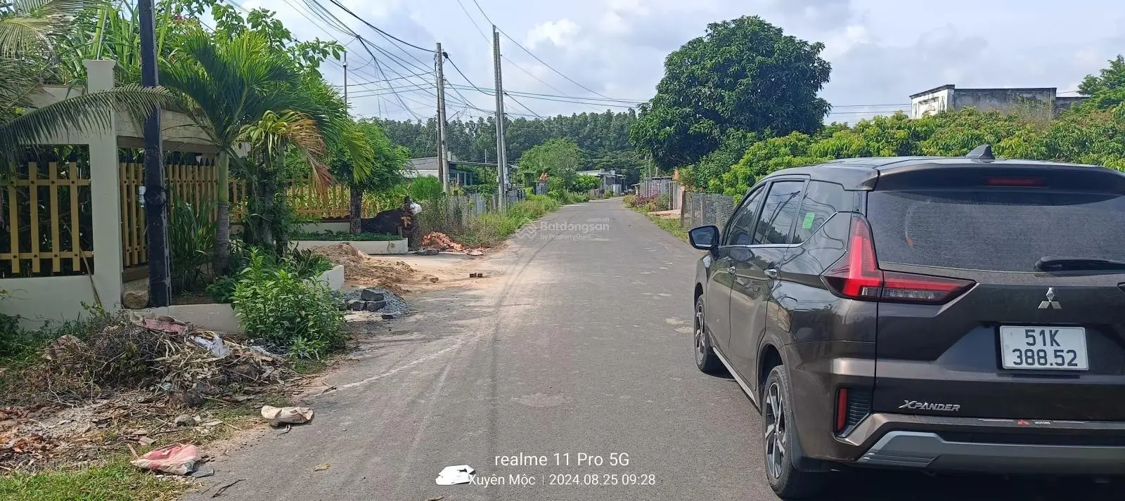 Nguyên vườn nhãn đang có trái DT: 10x50m, đường nhựa khu dân cư