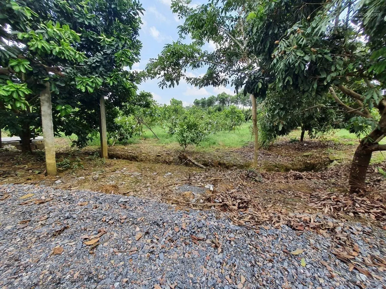 Chuyển nhượng 20.118m2 (hơn 2ha) đất thổ cư giá rẻ phù hợp xây nghỉ dưỡng homestay tại Lương Sơn