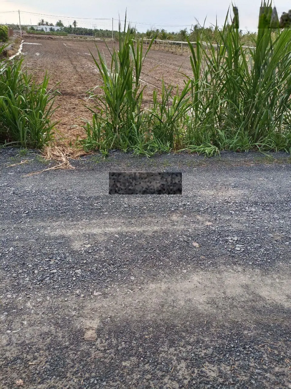 Bán 2532m2 lúa (22 x 102), 3 mặt tiền đường 6m xã Lợi Bình Nhơn. Giá: 1 tỷ 350 triệu / 1000m2