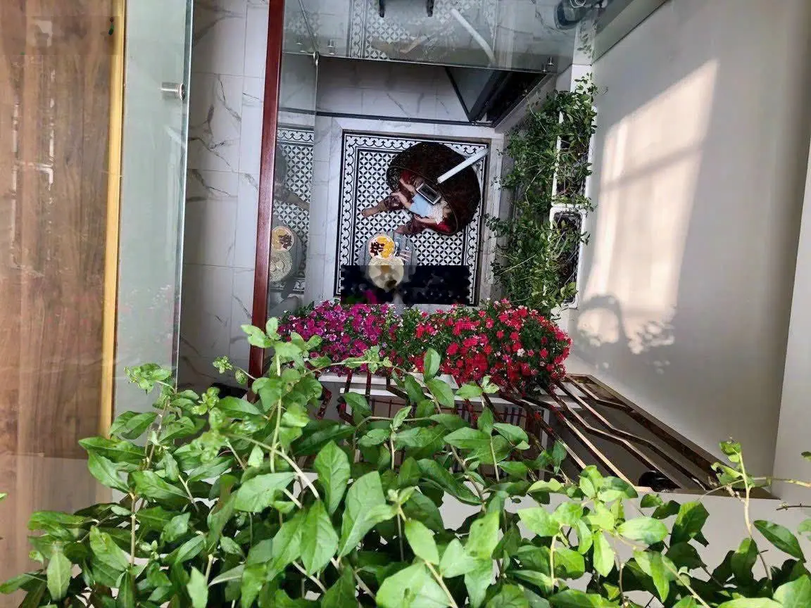 Biệt thự Châu Âu 4 tầng Lê Quang Định, xe hơi ngủ trong nhà, P7, Bình Thạnh