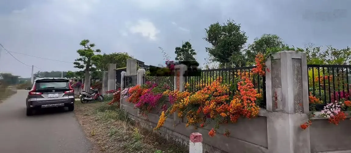 Hết vốn làm ăn bán ra căn nhà vườn hơn 1000m2 sẵn 100m2 thổ cư 2 mặt tền tại Đá Bạc, Châu Đức