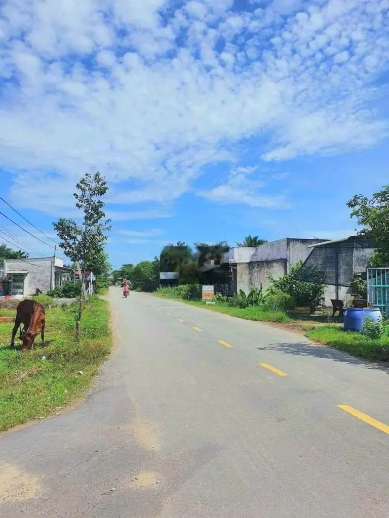 đất nền Tp Tây Ninh diện tích 115m2