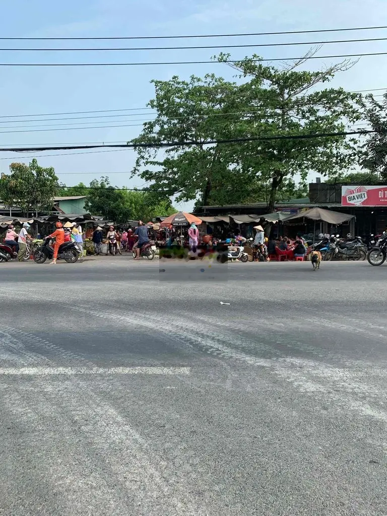 Bán đất gần chợ giá 2,05 tỷ, diện tích 725 m2, tại Gò Dầu, Tây Ninh