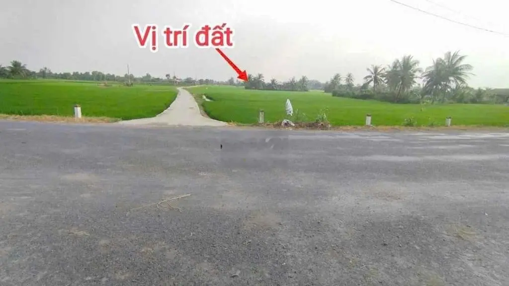 1.940m2 có 290m2 thổ cách nhựa 130m