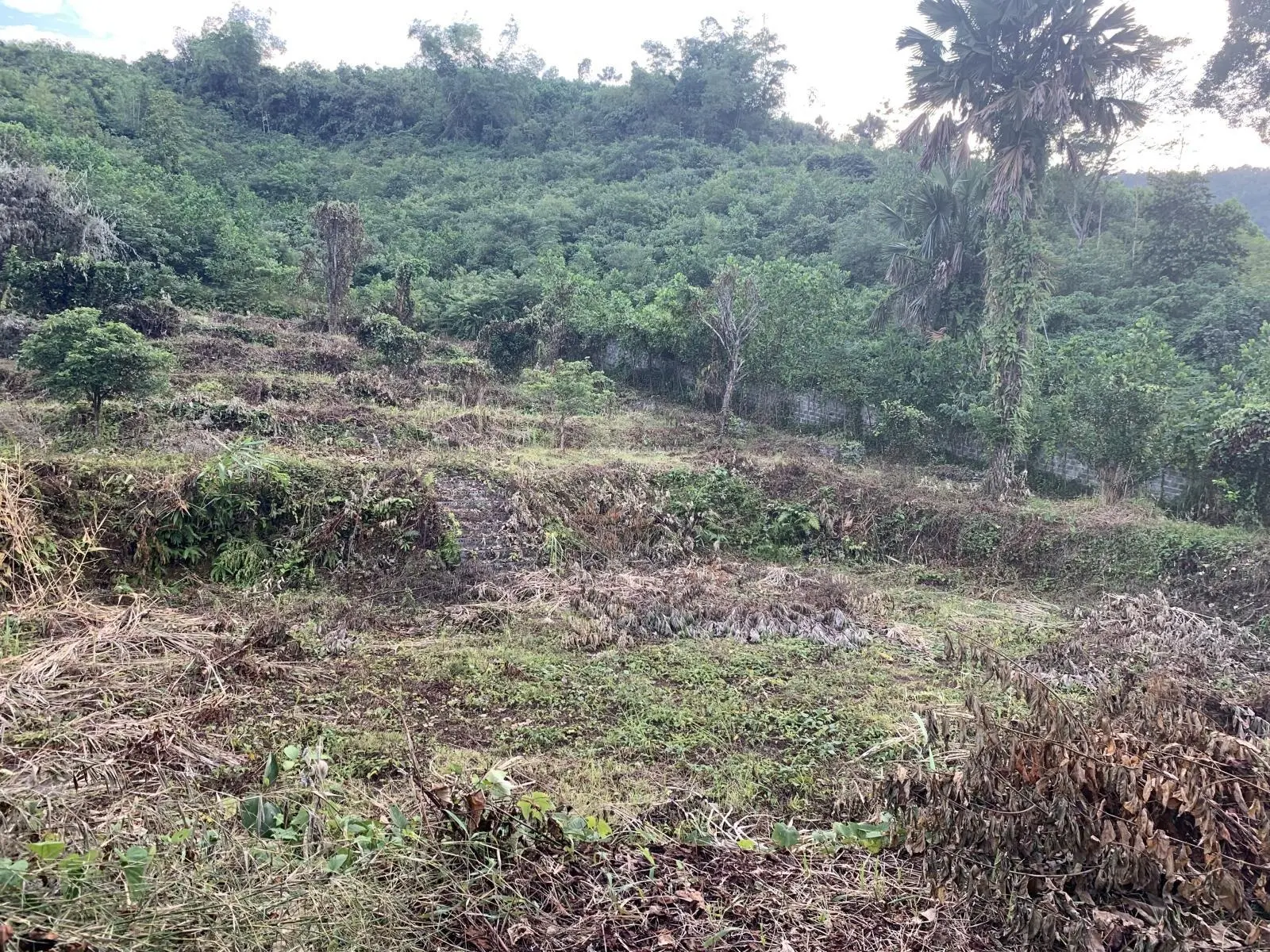 Bán Đất Yên Mông TP Hoà Bình 1.2ha Đất Thổ Cư Hỗn Hợp Gần Cao Tốc Hòa Bình -Sơn La giá 3.xty