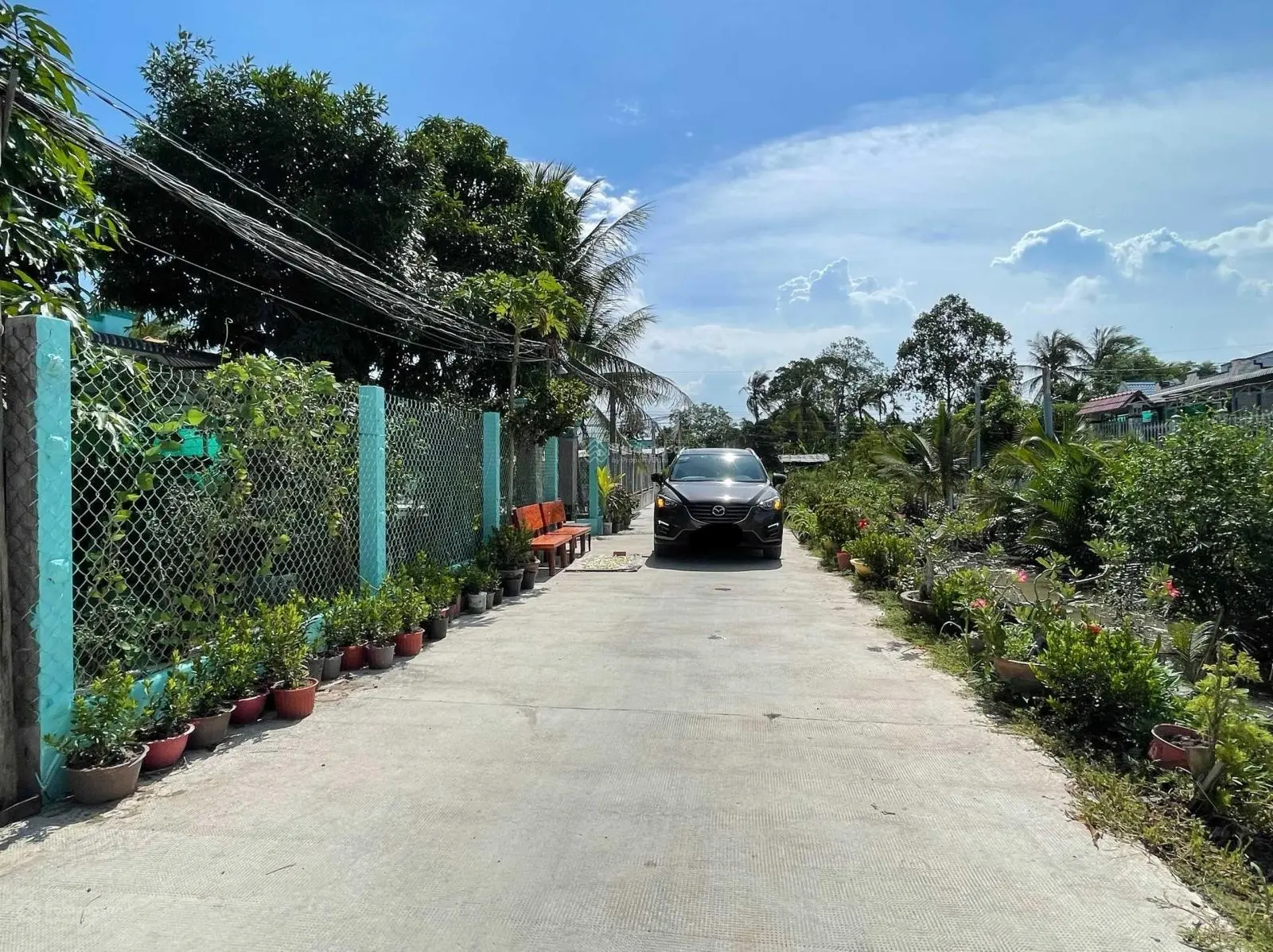 Đất xây biệt thự, nhà vườn, 250m2 thổ (9,7m x 27), SHR, giá rẻ chỉ 1,6 tỷ