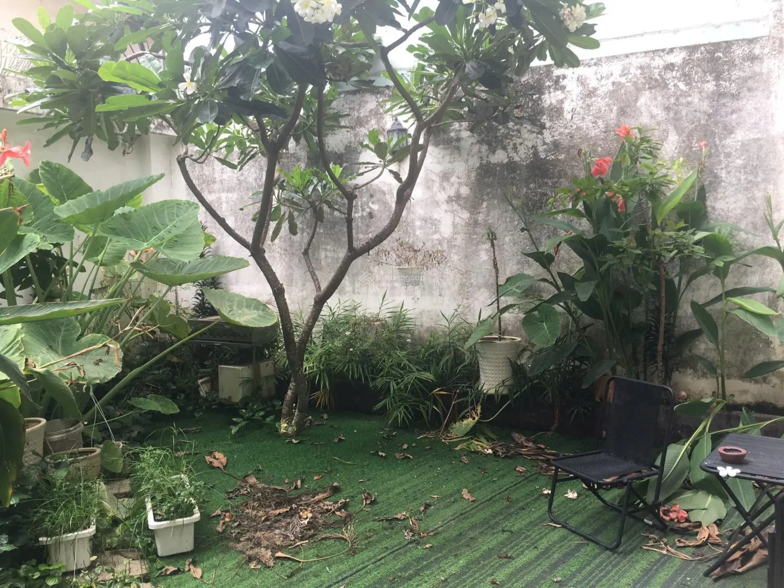 Biệt thự - 203m2 - đường 7m - Nguyễn Duy Trinh - Bình Trưng Tây