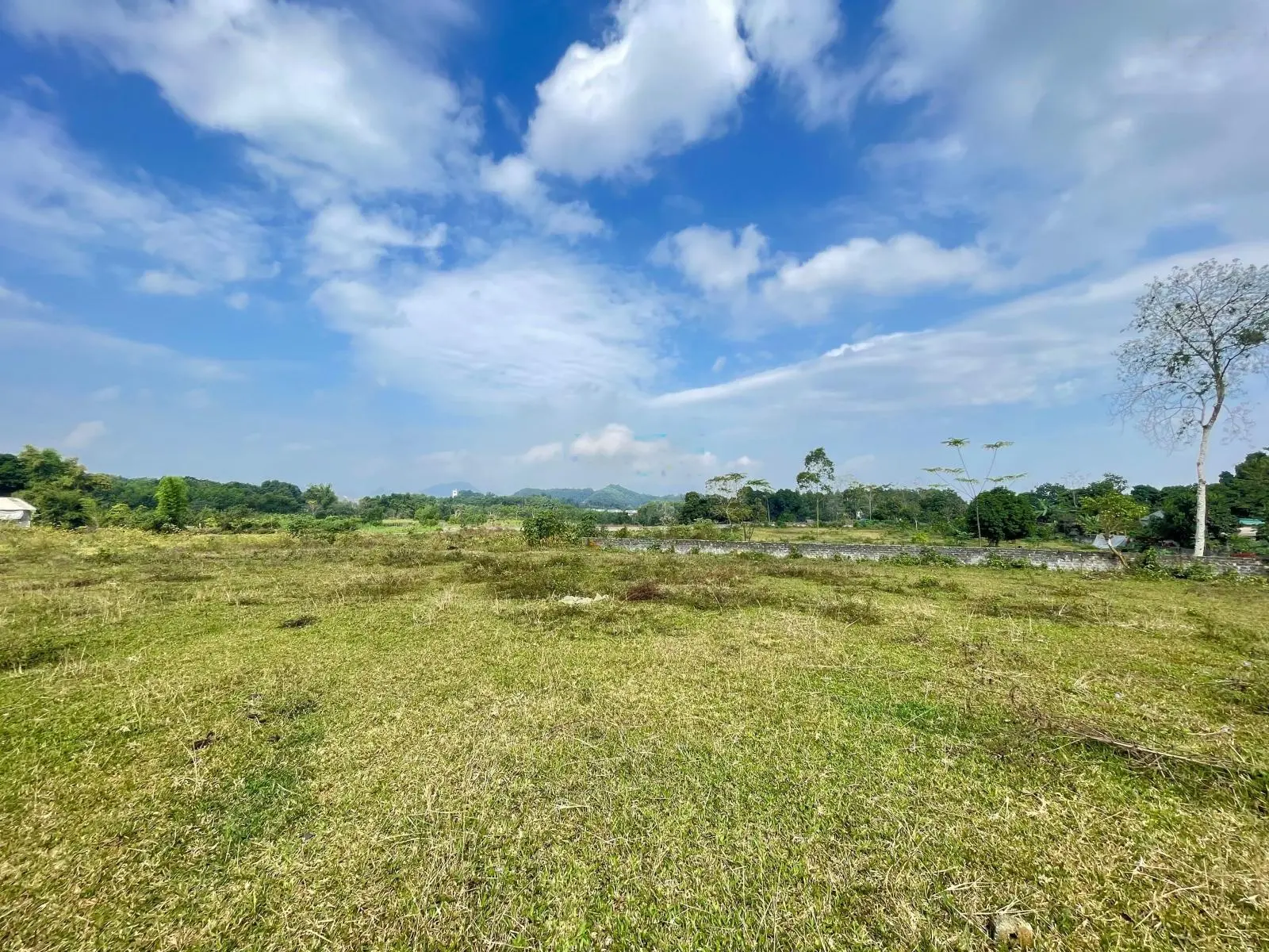 Chuyển nhượng 5336m2 view đẹp thoáng đãng giá tốt tại Cư Yên Lương Sơn Hoà Bình