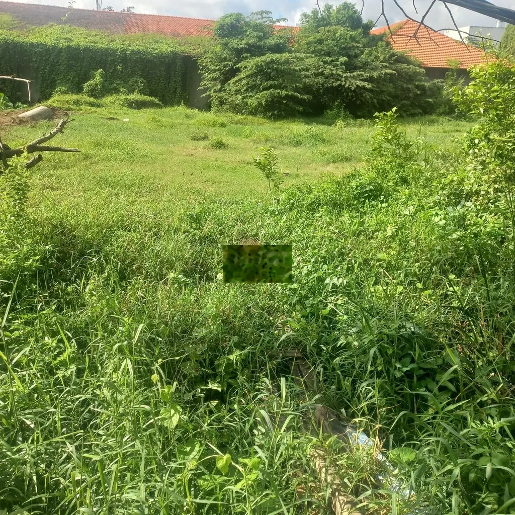 Đất trồng cây lâu năm có nhà cấp 4