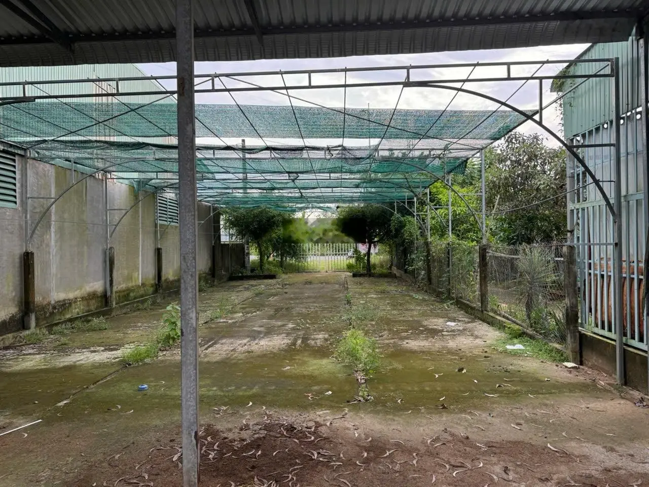 Bán 400m2 đất mặt tiền đường nguyễn văn linh cạnh cầu giáo đôi dt 400m2- giá 4.2 tỷ