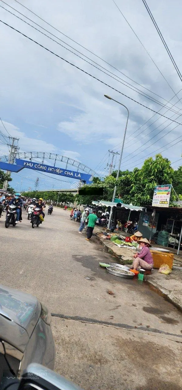 4ha đất Dương Minh Châu + Hòa Thành