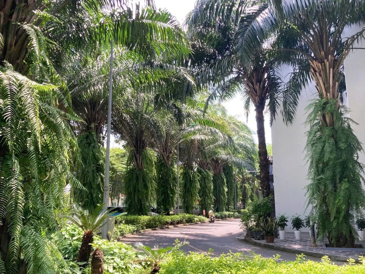 Bán độc quyền căn biệt thự khu Paml Garden (khu VIP) KĐT Việt Hưng, Long Biên