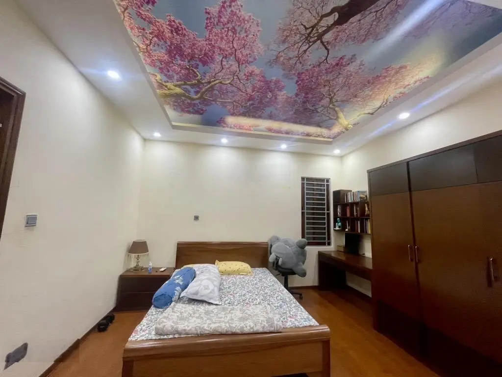 Lương thế vinh - lô góc 3 mặt thoáng - nhà đẹp - nội thất xịn - thang máy - ô tô đỗ cửa