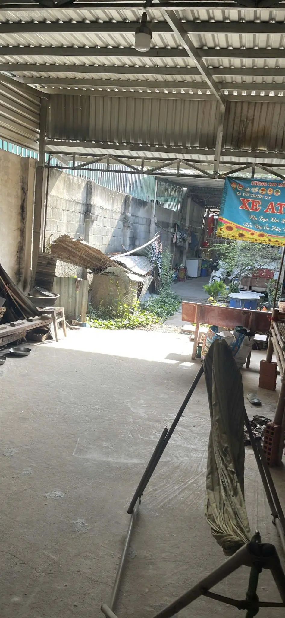 Nhà đường Trần Thị Lan LG20m, ngay khu trung tâm Tân Quy, xã Tân Thạnh Tây, 31x26m, 768m², 11.5 tỷ