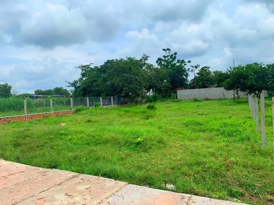 SANG GẤP 25X41=1025M2 THỔ CƯ NGAY CỤM KCN, CHỢ BUÔN BÁN ĐÔNG GIÁ 195TR