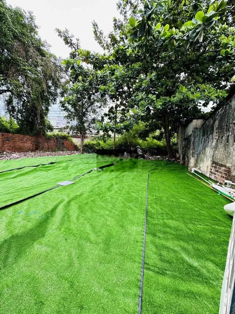 250m2 phường thống nhất chủ cần ván chỉ 3 tỉ 600tr