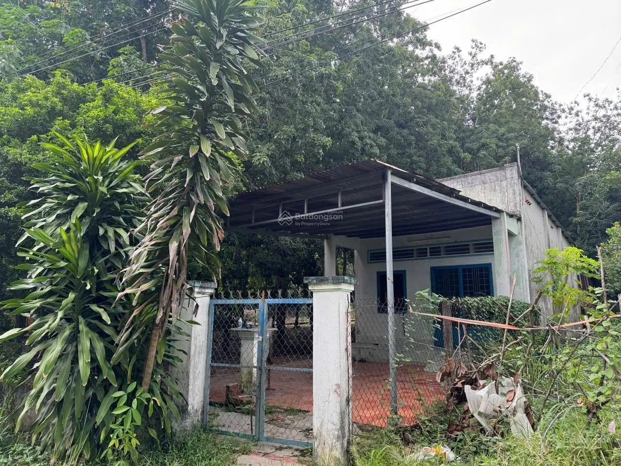 Bán đất tặng nhà riêng tại Văn Công Khai, 2,2 tỷ, 1200m2 có thổ cư Thị Trấn Dầu Tiếng, Bình Dương