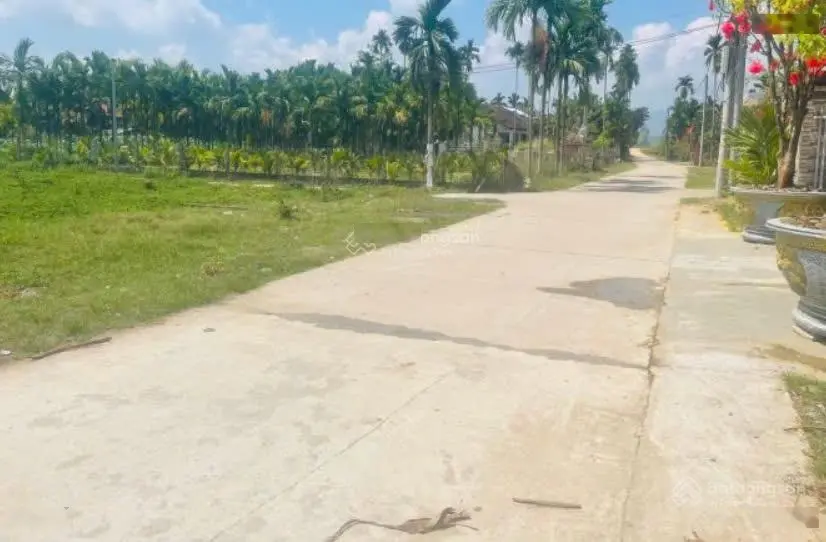 Lô đất cách Đà Nẵng 4km, DT 275m chia thành 2 lô liền kề_Gía chỉ từ 6xxtr/lô. LH: 0903 265 ***