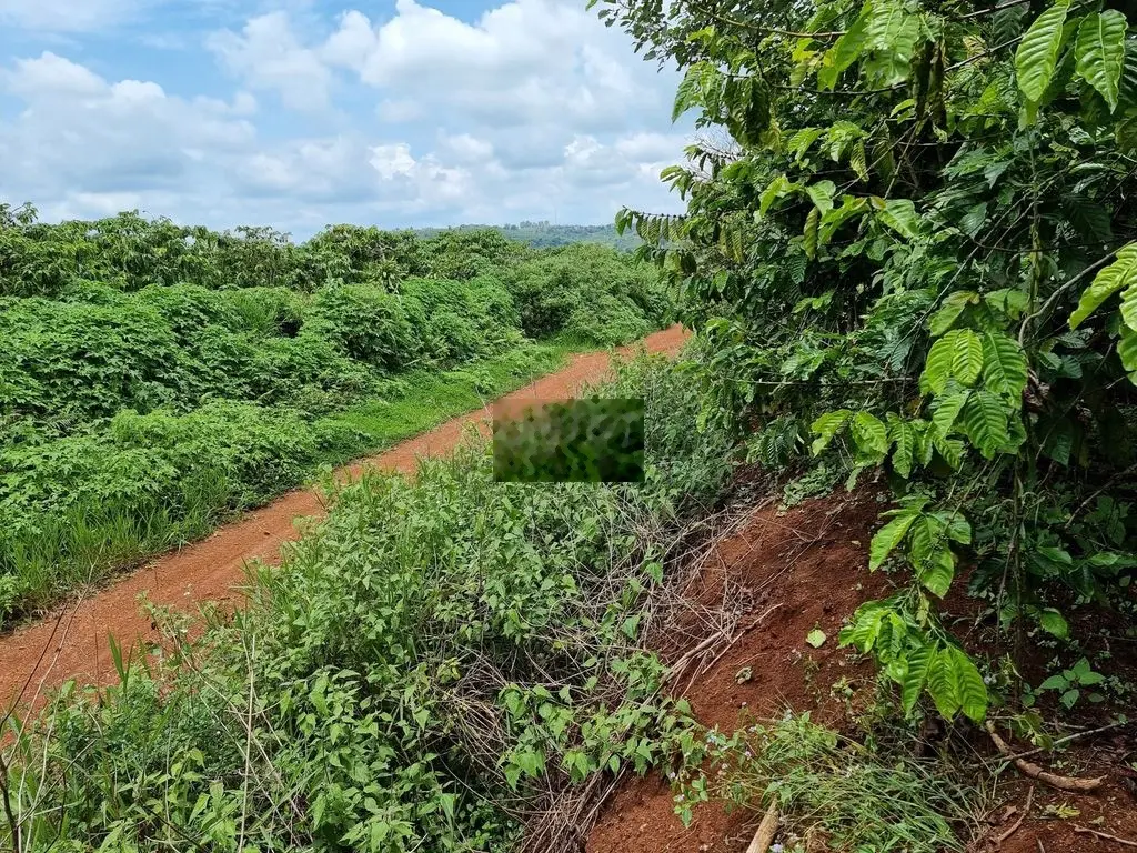 CHÍNH CHỦ BÁN LÔ ĐẤT NGHĨ DƯỠNG, VIEW ĐẸP, GẦN ĐÀ LẠT, GẦN CAO TỐC