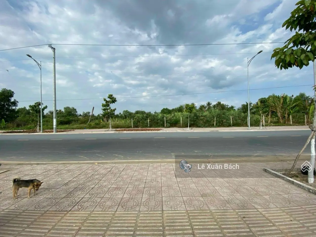 Về quê cần bán gấp 115m2 đất MT Bùi Hữu Nghĩa, Bình Hoà, Thuận An, Bình Dương. Gần Aeon Bình Dương