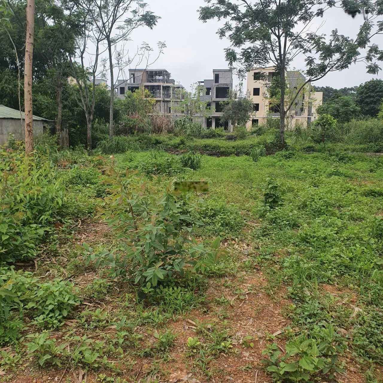 Bán đất tại Phú Cát, Quốc Oai. Diện tích 1588m2