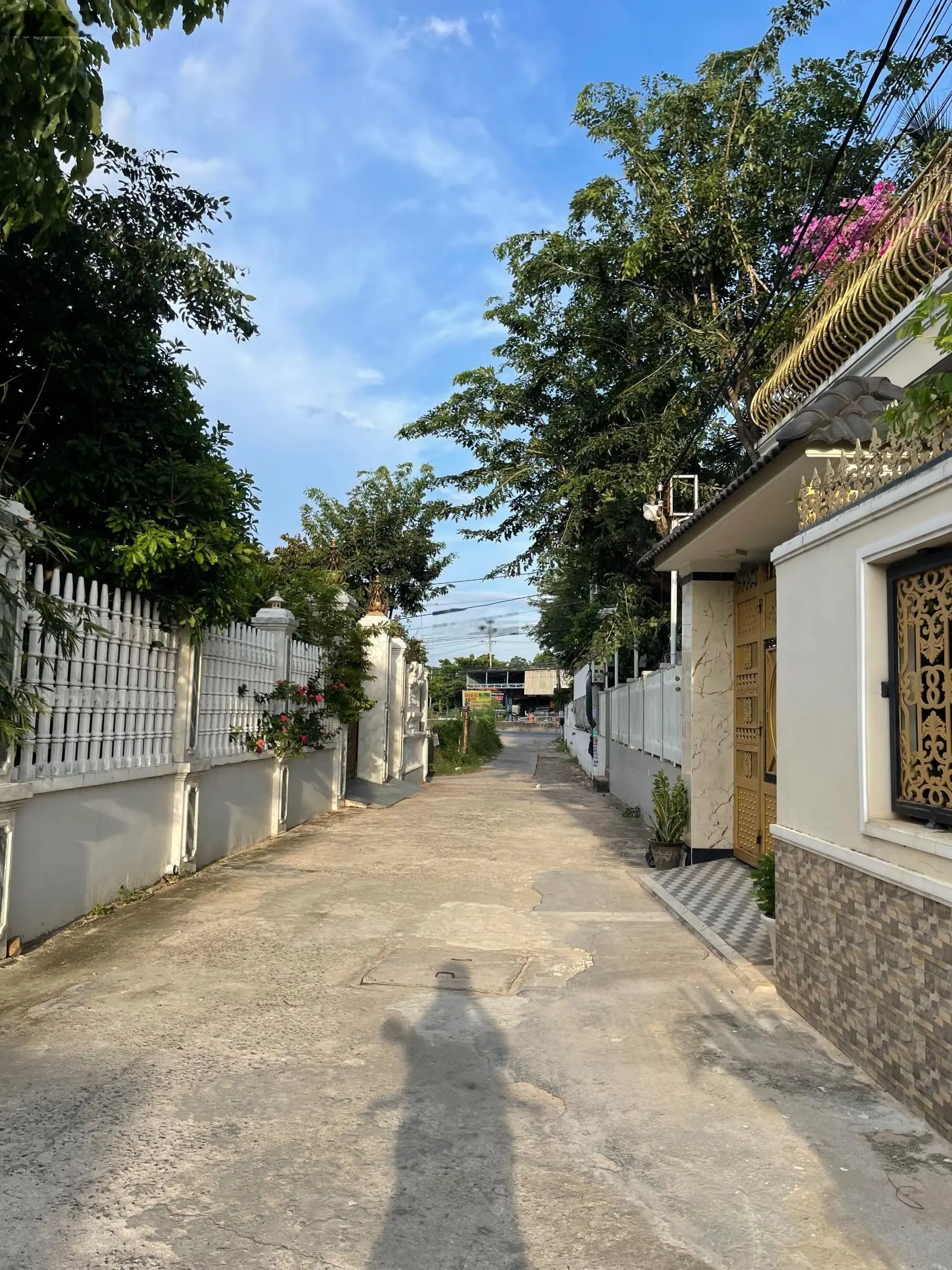 Bán đất 100m2 gần Ga Lê Duẩn, sau lưng biệt thự Tây Đô, thổ cư , dân cư đông đúc , cách QL 300m