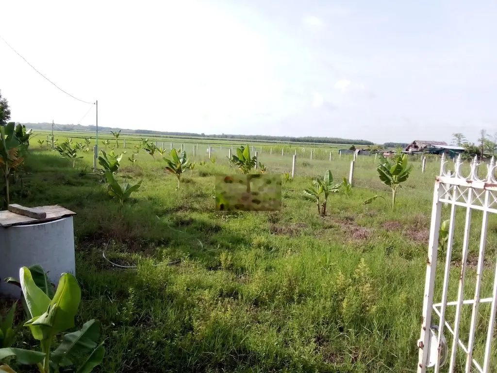 Chính chủ cần bán 2 công đất lập vườn